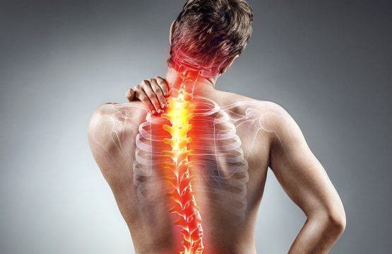 Risk factors of Back Pain