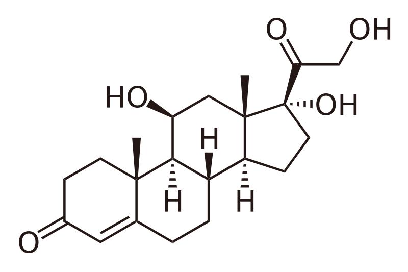 cortisol