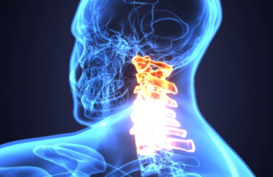 spinal-cord-injury