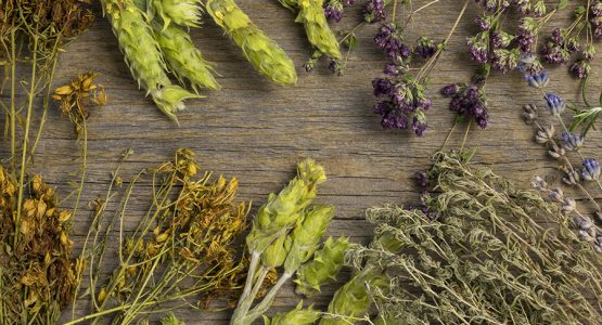 Herbs that help you get rid of back pain