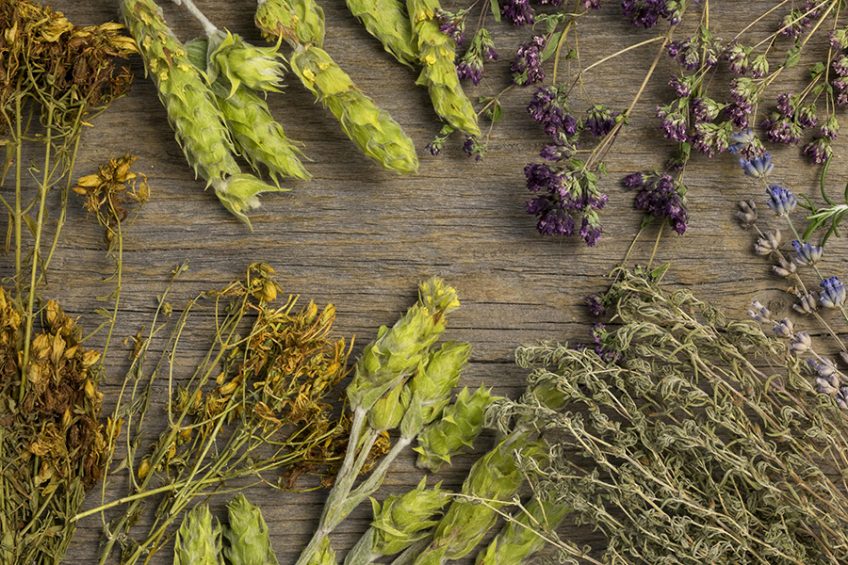 Herbs that help you get rid of back pain