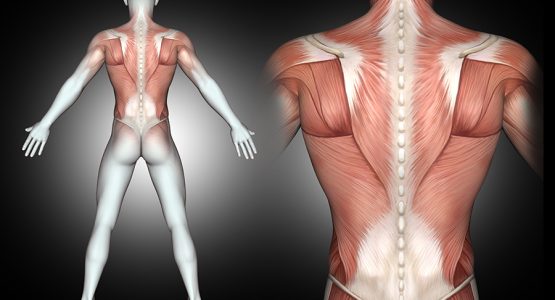 What back pain you should never ignore