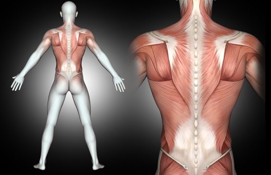 What back pain you should never ignore