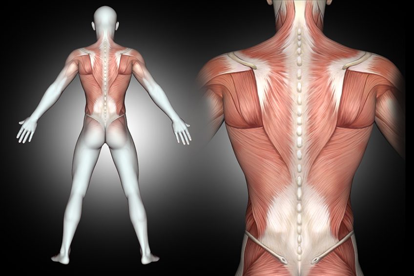 What back pain you should never ignore
