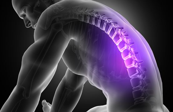 Tips for spine protection