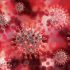 Long-term effects of COVID-19 infection