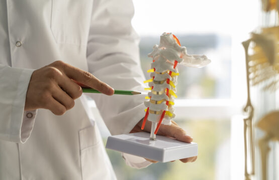 Disc protrusion symptoms, diagnosis and treatment