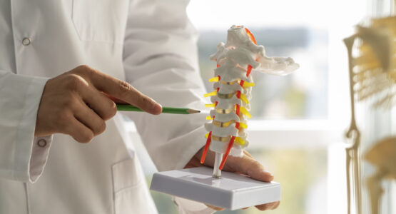 Disc protrusion symptoms, diagnosis and treatment