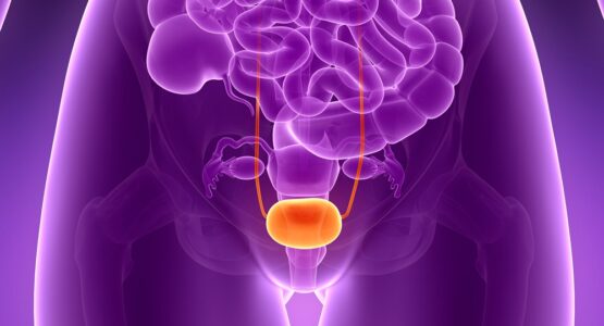 The Impact of Spinal Cord Lesions on the Urinary Bladder