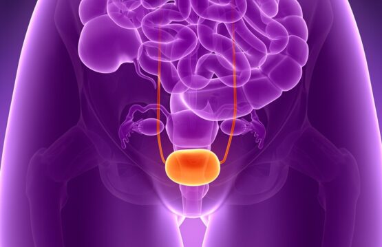 The Impact of Spinal Cord Lesions on the Urinary Bladder