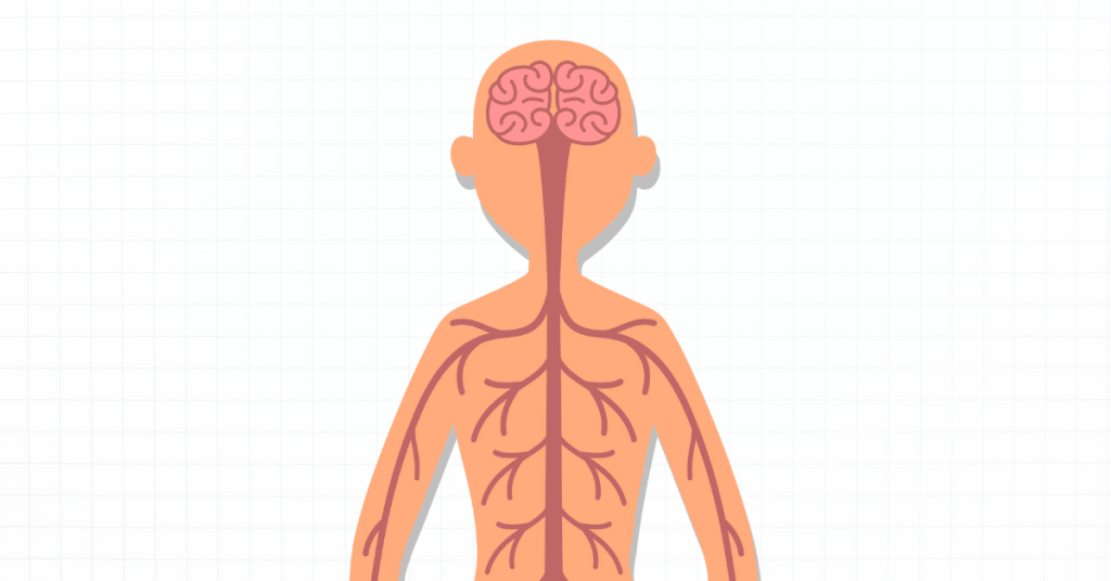 Myasthenia Gravis All About this Condition