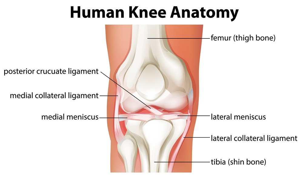 Types of Ligament Ruptures